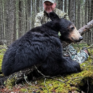 bear4 bear4