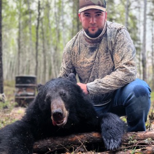 bear36 bear36