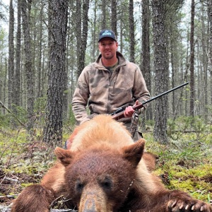 bear37 bear37