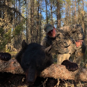 bear38 bear38