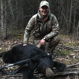 bear39 bear39