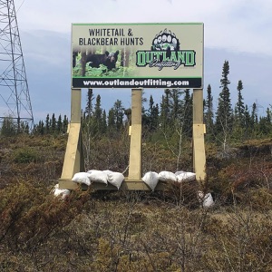 bear36 bear36