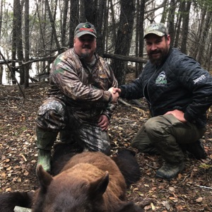 bear30 bear30