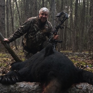 bear33 bear33