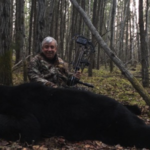 bear35 bear35